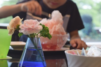 f:id:dik:20150704212625j:image