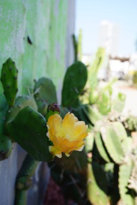 f:id:dik:20150922210106j:image