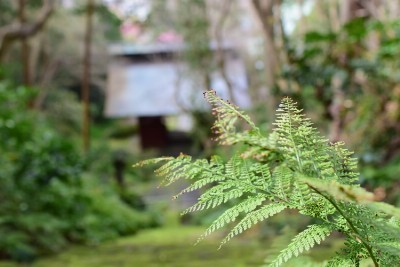f:id:dik:20160313234844j:image