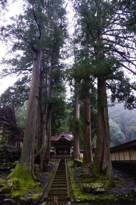 f:id:dik:20160322230705j:image