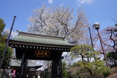 f:id:dik:20160328232312j:image