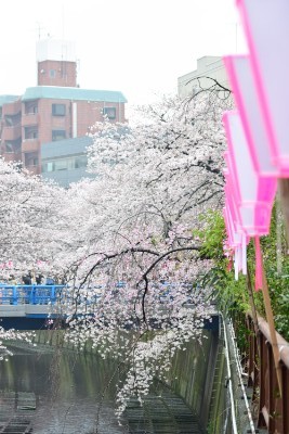 f:id:dik:20160403201354j:image