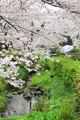 f:id:dik:20160403201357j:image
