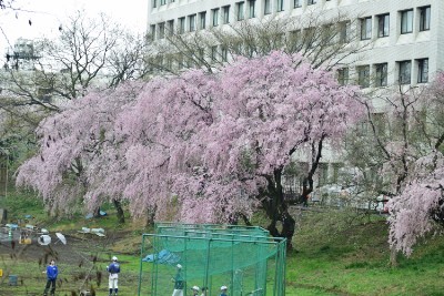 f:id:dik:20160403201852j:image