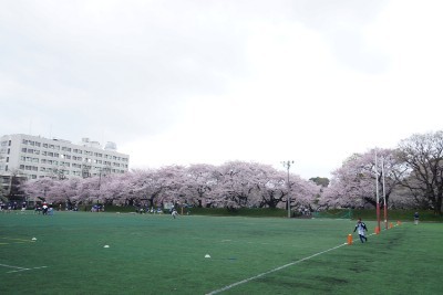 f:id:dik:20160403201853j:image