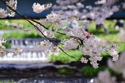 f:id:dik:20160426001536j:image