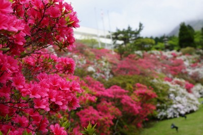 f:id:dik:20160508203603j:image