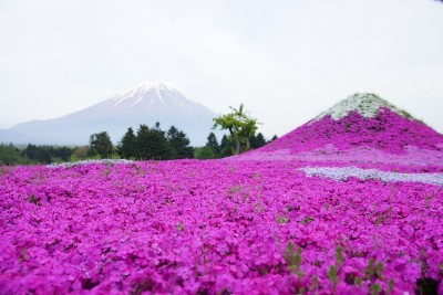 f:id:dik:20160508203634j:image