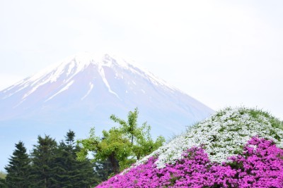 f:id:dik:20160508203635j:image