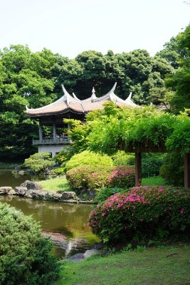 f:id:dik:20160522211926j:image