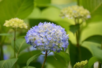 f:id:dik:20160522212153j:image