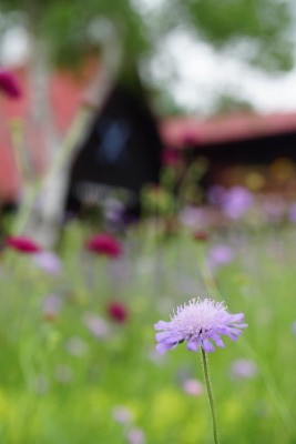 f:id:dik:20160622185814j:image