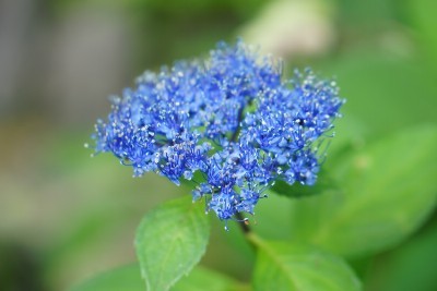 f:id:dik:20160702225332j:image
