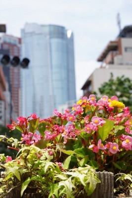 f:id:dik:20160710211231j:image
