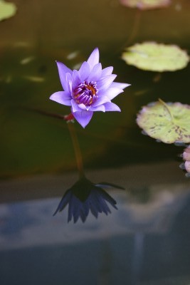 f:id:dik:20160802222743j:image