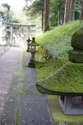 f:id:dik:20161002235232j:image