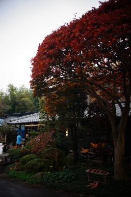 f:id:dik:20161120221110j:image