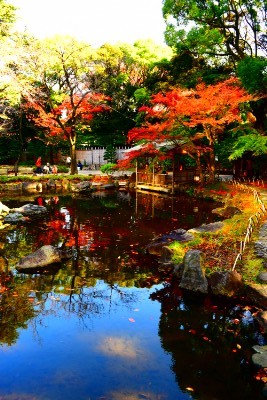 f:id:dik:20161127194023j:image