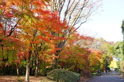 f:id:dik:20161127200458j:image