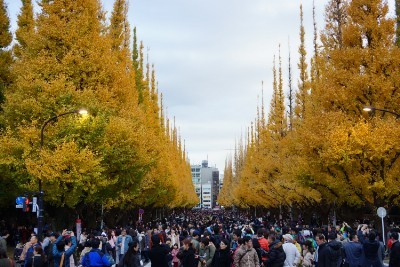 f:id:dik:20161127200617j:image