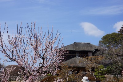 f:id:dik:20170308215628j:image f:id:dik:20170308215628j:image