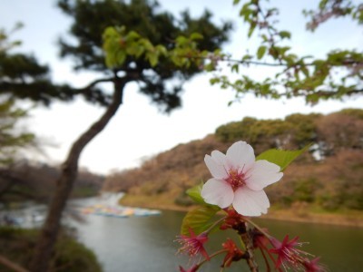 f:id:dik:20170324002716j:image