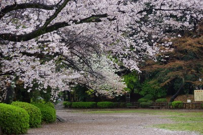 f:id:dik:20170414220824j:image