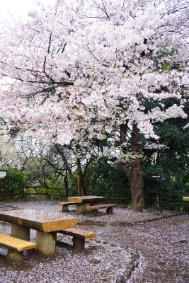 f:id:dik:20170414221403j:image