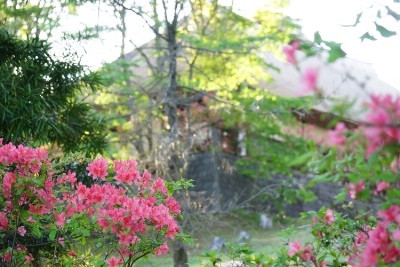 f:id:dik:20170511195114j:image