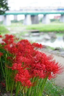 f:id:dik:20170916210233j:image