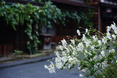 f:id:dik:20171014221402j:image