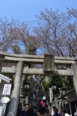 f:id:dik:20180401214058j:image f:id:dik:20180401214058j:image