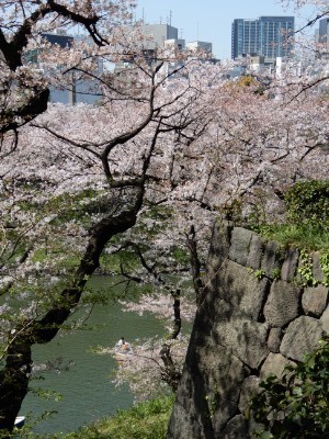 f:id:dik:20180402234718j:image