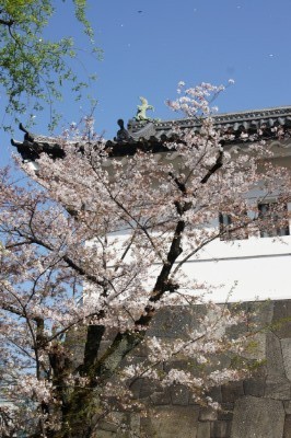f:id:dik:20180402234750j:image