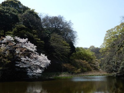 f:id:dik:20180403000551j:image