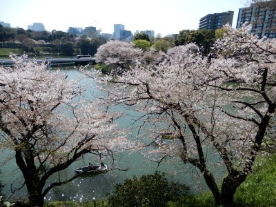 f:id:dik:20180403000643j:image