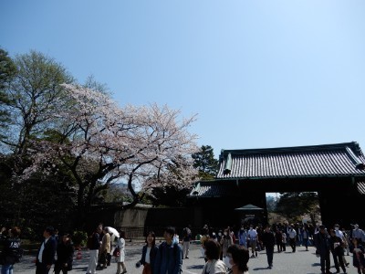 f:id:dik:20180403000646j:image