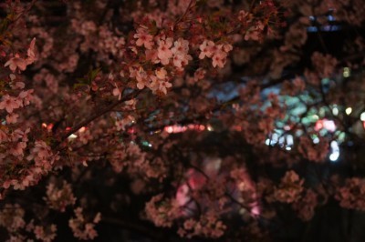f:id:dik:20180403001245j:image