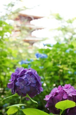 f:id:dik:20180624221031j:image