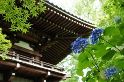 f:id:dik:20180624222252j:image