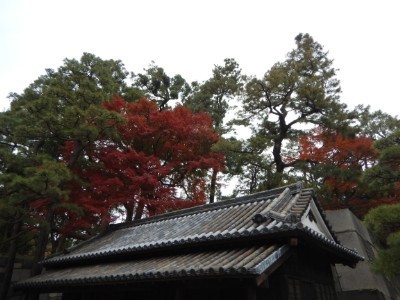 f:id:dik:20181204092148j:plain