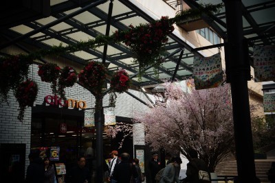 f:id:dik:20190401232446j:plain f:id:dik:20190401232446j:plain