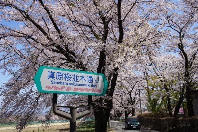 f:id:dik:20190421171143j:plain