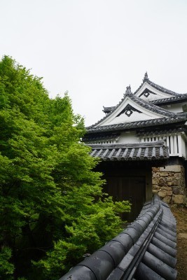 f:id:dik:20190505012543j:plain