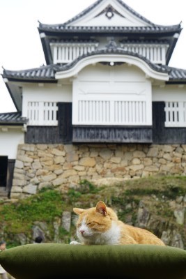 f:id:dik:20190505012612j:plain