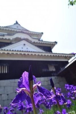 f:id:dik:20190505025937j:plain