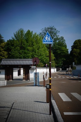 f:id:dik:20190514195430j:plain f:id:dik:20190514195430j:plain
