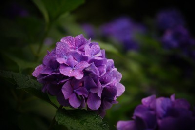 f:id:dik:20190630075929j:plain