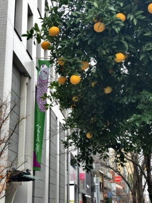 f:id:dik:20191229102432j:plain f:id:dik:20191229102432j:plain