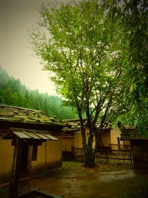 f:id:dik:20200815135933j:plain
